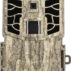 CC8021.jpg