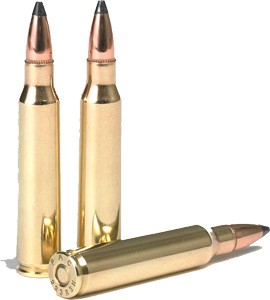 a223sp_shells.jpg a223sp_shells.jpg
