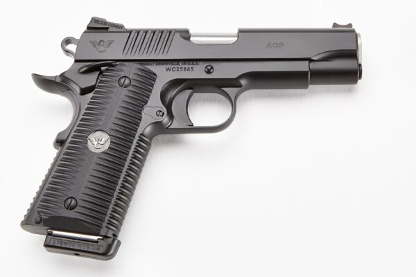 acpcom45a573b.jpg