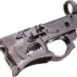 gwarthog_left_2.jpg
