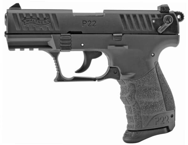 p22ba2b.jpg