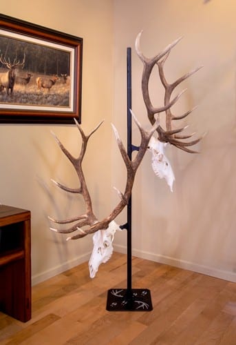 trophytree_3.jpg trophytree_3.jpg
