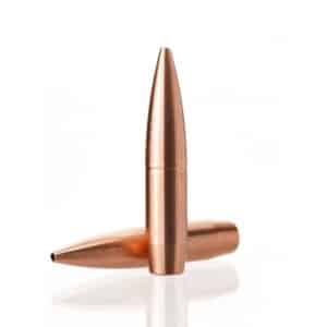 Two copper bullets standing on white background.