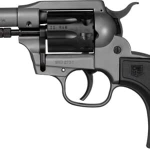 Black and grey .22 caliber revolver