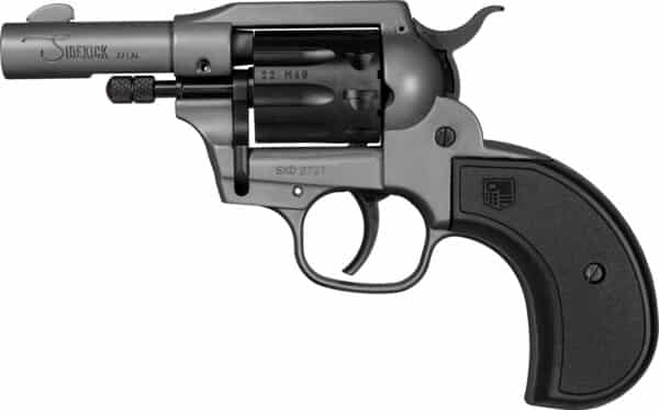 Black and grey .22 caliber revolver