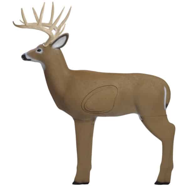 3D archery target of a whitetail deer
