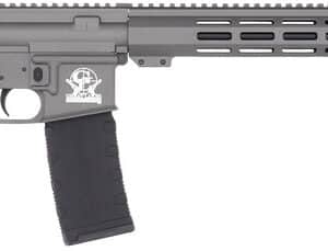 Gray semi-automatic rifle with black magazine.