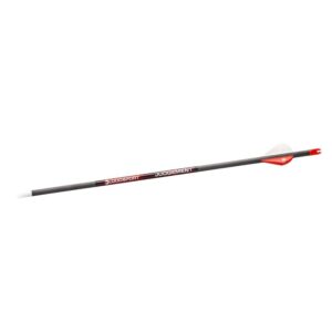 Carbon arrow with red fletching and nock.