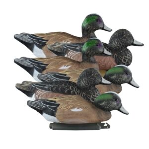 Five duck decoys with detailed coloring.