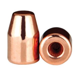 Two copper bullet casings side by side.