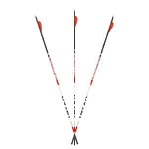 Three carbon arrows with orange fletching.