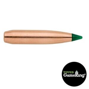 Tipped GameKing bullet with green tip