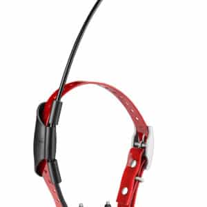 Garmin dog tracking collar with antenna.