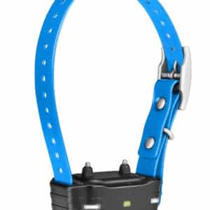 Blue Garmin dog training collar