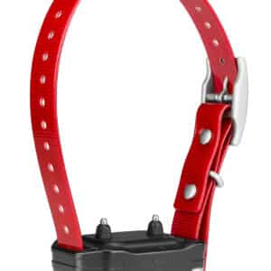 Red GPS dog collar with black receiver