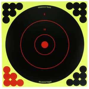 Shooting target with red rings and dots