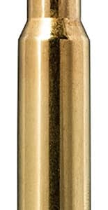 Close-up of a bullet with green tip.