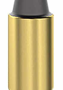 Close-up of a bullet cartridge.