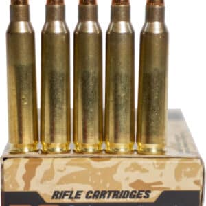 Five rifle cartridges on labeled box.