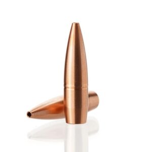 Copper bullet standing upright on white background.