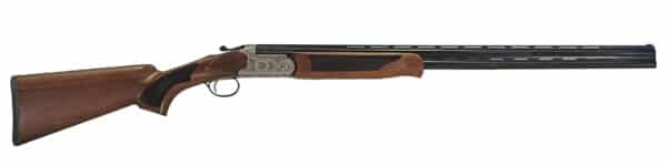 Side view of a double-barrel shotgun