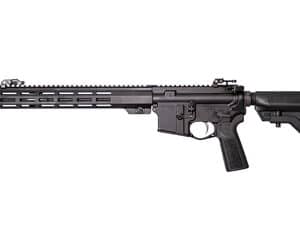Black semi-automatic rifle with adjustable stock