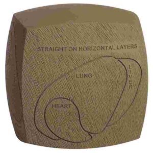 Brown object with anatomical layer diagram.