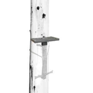 Ladder step secured to a utility pole.
