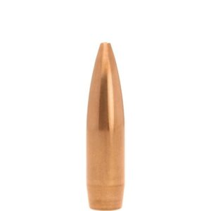 Copper bullet standing upright on white background.