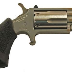 Small handgun with black grip and silver barrel.