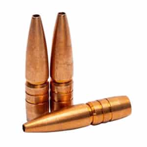 Copper bullet casings isolated on white background.