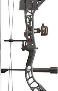 Modern compound bow with pulleys and stabilizer