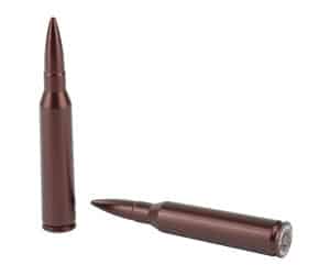 Two brown rifle bullets on white background.