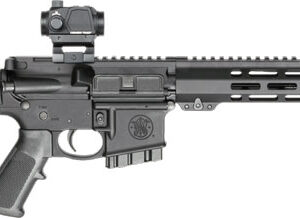 Modern semi-automatic rifle with accessories