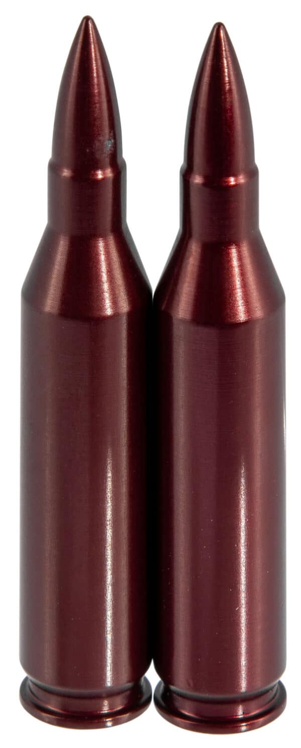 Two metallic red bullets standing upright
