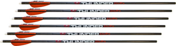Six Thunder Tiger carbon arrows with orange fletching