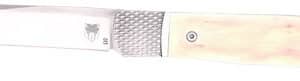 Folding pocket knife with ivory handle.