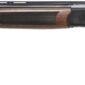 Double-barrel shotgun with wooden stock.