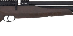 Black air rifle with wooden stock
