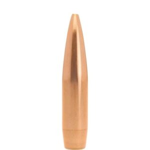 Copper bullet, close-up view.