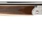 Side view of a double-barrel shotgun