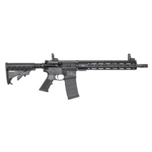Black semi-automatic rifle with adjustable stock.