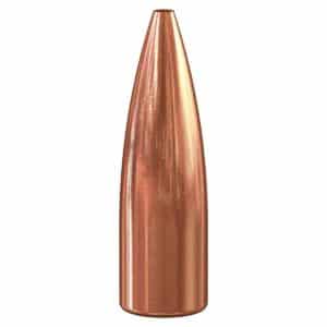 Copper-colored bullet close-up.